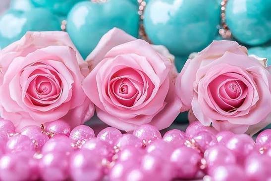  عکس گل محمدی برای پروفایل