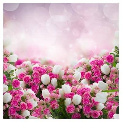 عکس گل محمدی برای پروفایل
