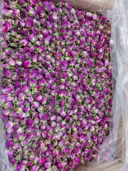  عکس گل محمدی خشک شده