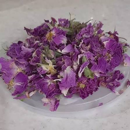  عکس گل محمدی خشک شده