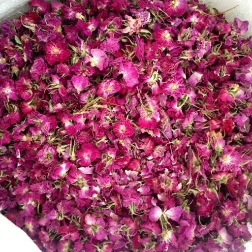  عکس گل محمدی خشک شده