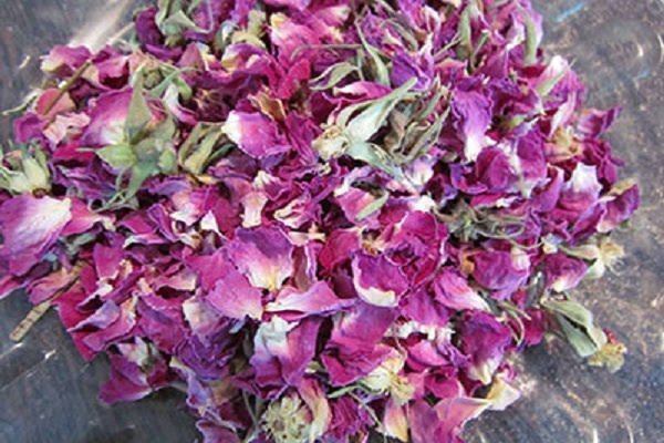  عکس گل محمدی خشک شده