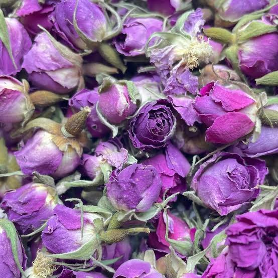  عکس گل محمدی خشک شده