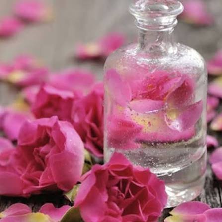  عکس گل محمدی و گلاب