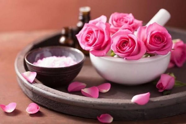  عکس گل محمدی و گلاب