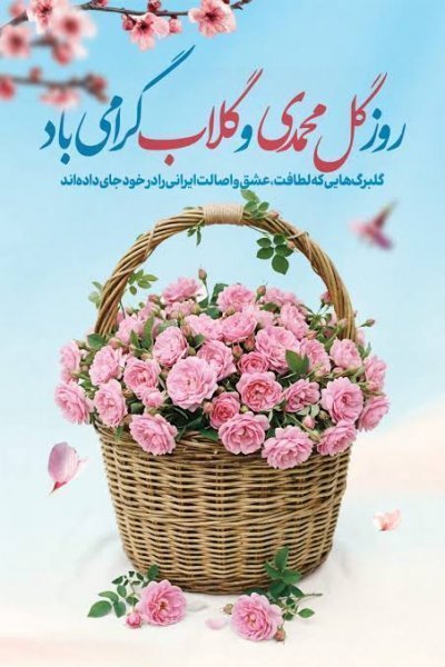  عکس گل محمدی و گلاب