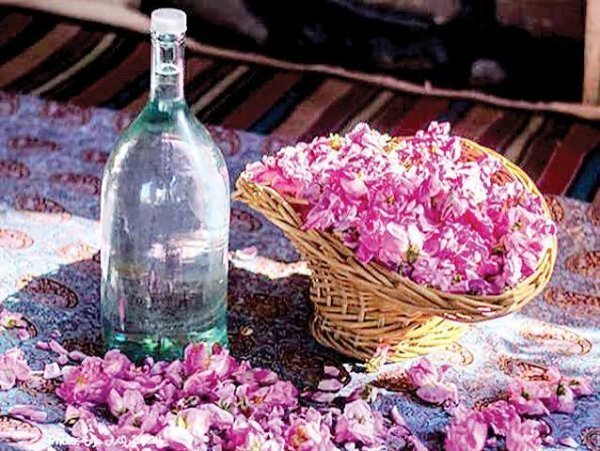  عکس گل محمدی و گلاب