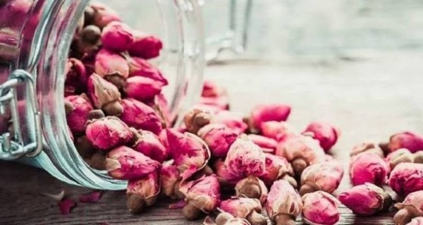  عکس انواع گل محمدی