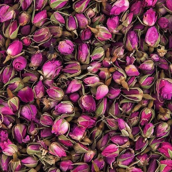  عکس انواع گل محمدی