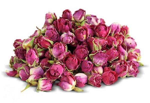  عکس انواع گل محمدی
