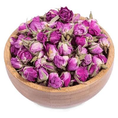  عکس انواع گل محمدی