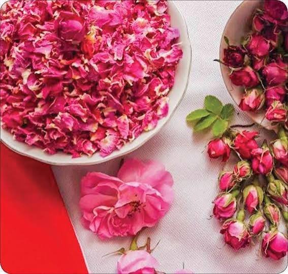  عکس انواع گل محمدی