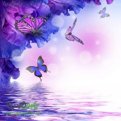  عکس زیبا و کیوت پروانه و گل برای بک گراند با کیفیت hd