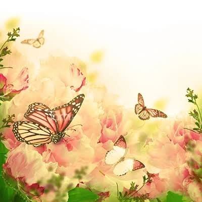  عکس زیبا و کیوت پروانه و گل برای بک گراند با کیفیت hd