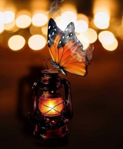  عکس پروفایل زیبای گل و پروانه فانتزی خوشگل