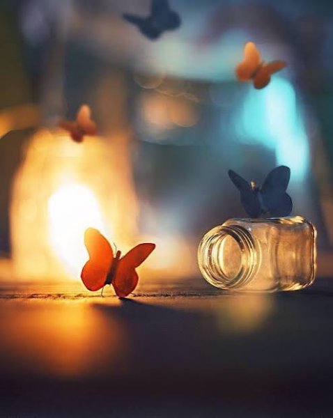  دانلود عکس پروانه برای پروفایل