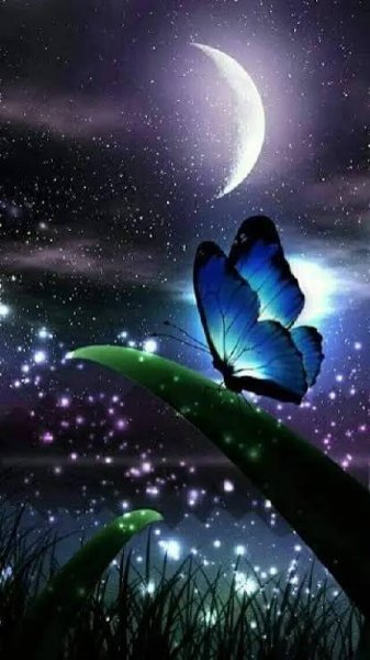  دانلود عکس پروانه برای پروفایل