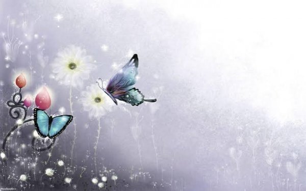  دانلود عکس پروانه برای پروفایل
