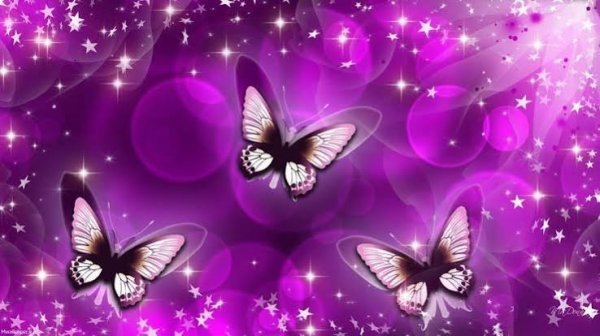  دانلود عکس پروانه برای پروفایل