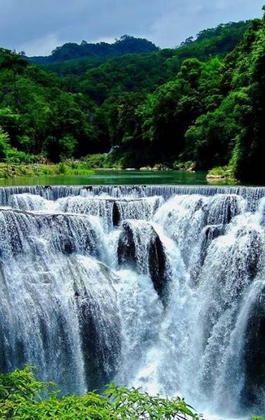  عکس رودخانه و جنگل