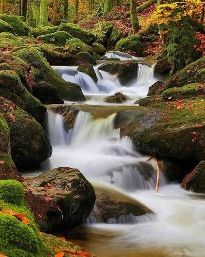  عکس رودخانه و جنگل