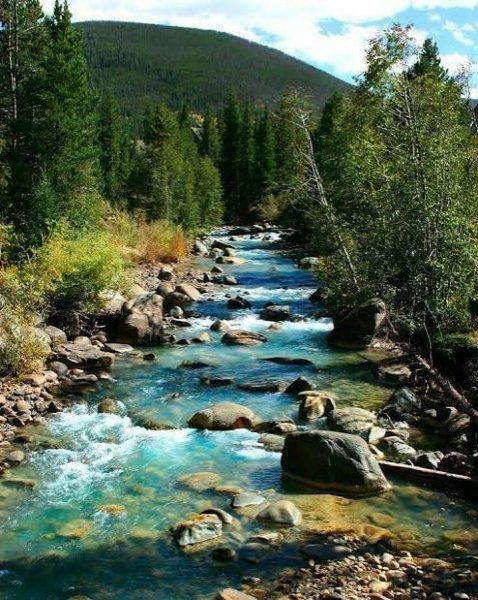  عکس رودخانه و جنگل