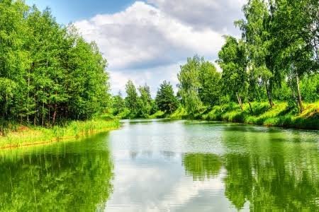  عکس رودخانه و جنگل