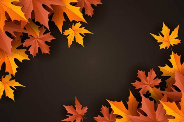  تصویر زمینه برگ پاییزی برای والپیپر