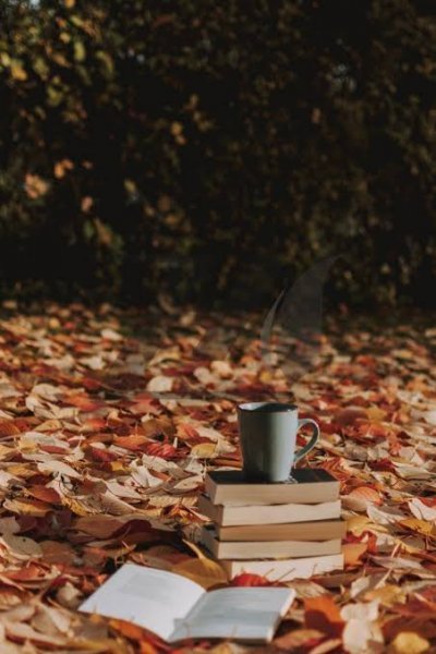  تصویر زمینه برگ پاییزی برای والپیپر