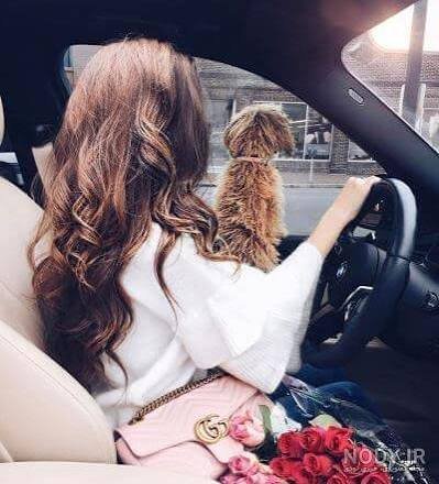عکس پروفایل سگ با دختر