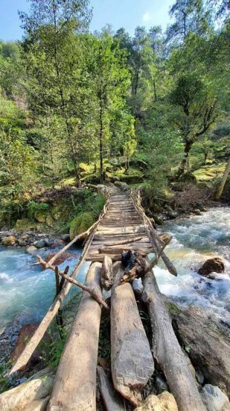  عکس مراتع سرسبز شمال ایران ماسال