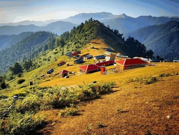  عکس مراتع سرسبز شمال ایران ماسال