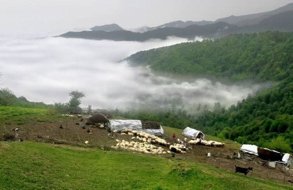  جاهای دیدنی ماسال با عکس
