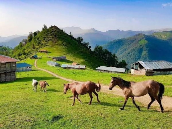  جاهای دیدنی ماسال با عکس