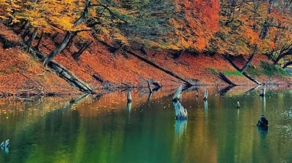  عکس شمال ایران در پاییز جدید