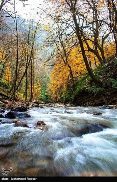  عکس پاییز شمال گیلان