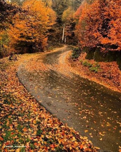  عکس پاییز شمال گیلان
