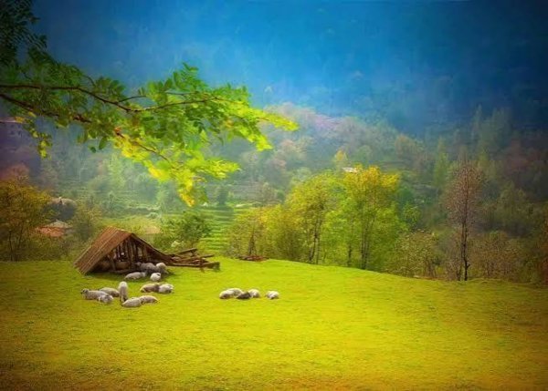  عکس پاییز شمال گیلان