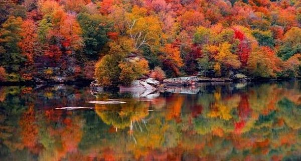  عکس از پاییز شمال
