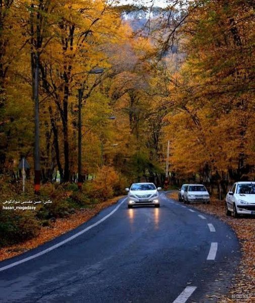  عکس از پاییز شمال