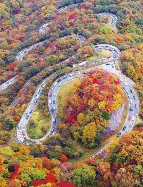  عکس از پاییز شمال