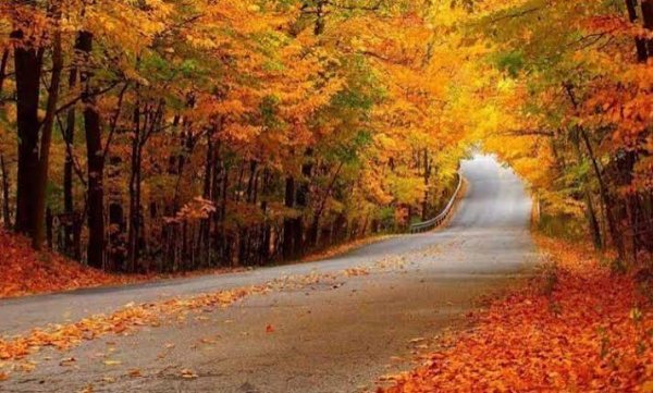  عکس از پاییز شمال