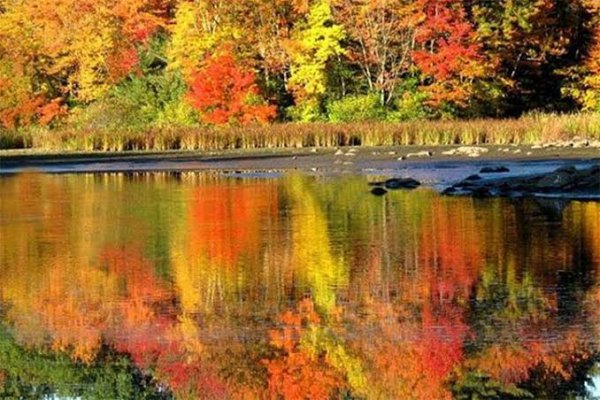  عکس جاهای دیدنی گیلان در پاییز