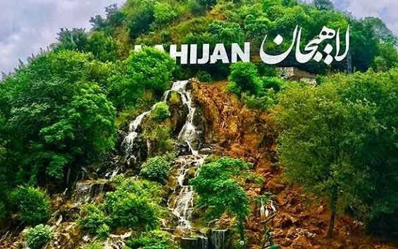 زیباترین جنگل لاهیجان با عکس