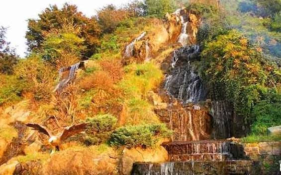  زیباترین جنگل لاهیجان با عکس