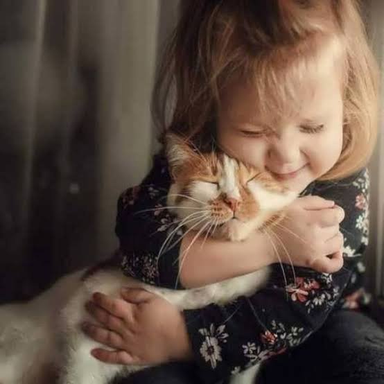 عکس گربه با دختر بچه
