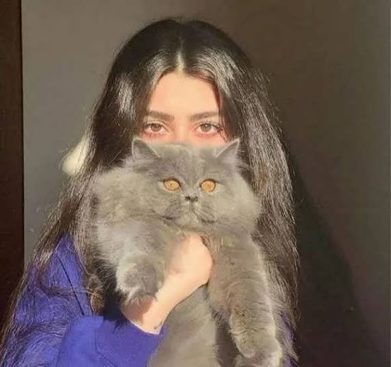  عکس پروفایل دختر و گربه فانتزی
