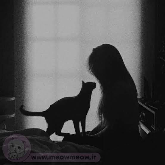  عکس دختر با گربه سیاه