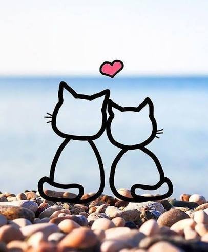  عکس پروفایل گربه کارتونی