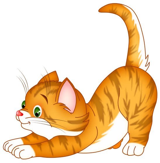  عکس پروفایل گربه کارتونی